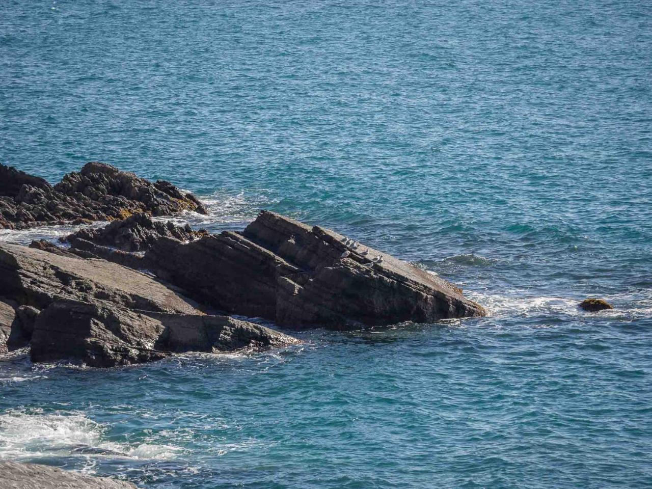 Unda De Ma Sea View Terrace Apartment Vernazza Esterno foto